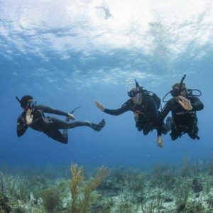 Formations en plongée ou apnée