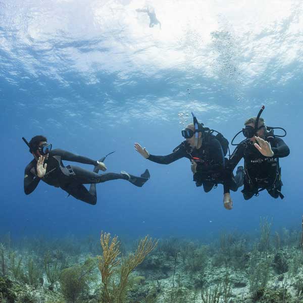 Formations en plongée ou apnée