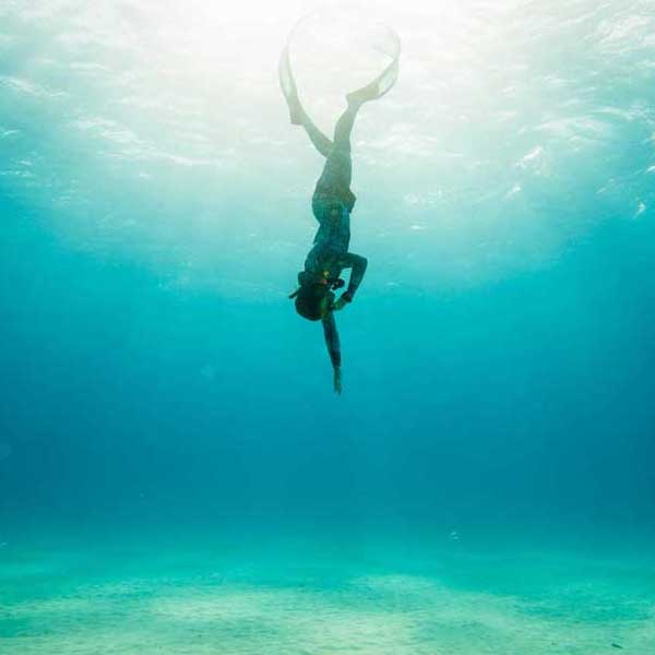 Formations en plongée libre