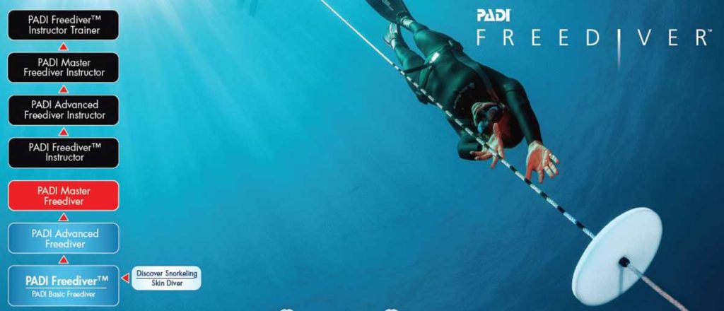 Formations en plongée libre / formations professionnelles en apnée