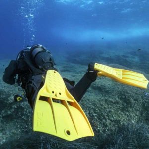 Qu'est-ce qu'une bonne palme de plongée